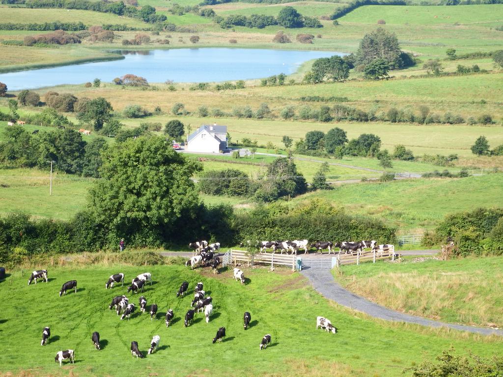 Coach House Hotel Sligo Ballymote Bagian luar foto